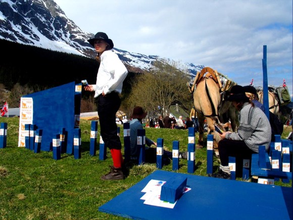 Giorgos Papadatos Giorgos Papadatos, Deficit Tree L.t.d, Streif 2005,curated by Nordic Kunstarsenter Dalsasen, Hardanger, Norway