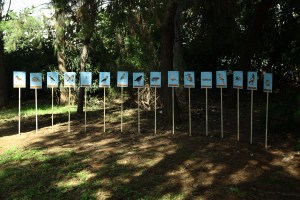 Campus Novel, (U.F.A) Urban Fauna Assembly, 2021