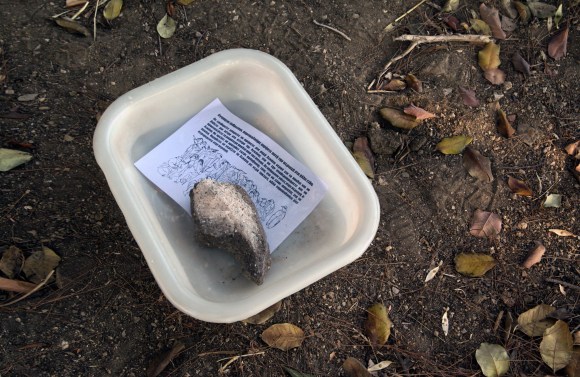 Rebecca Agnes, Nephelokokkygia, Νεφελοκοκκυγία, 2021
ENG / GR
In spring 2019 the song "Abschied" (farewell) by the band die ärzte was released. the first verse says "manchmal ist es einfach zeit, zu gehen / sometimes it's just time to leave" and then continues with "los komm, wir sterben endlich aus - denn das ist besser für die welt / come on, we're finally dying out - because that's better for the world". this was before the pandemic of 2020, and before the relationship between human actions and ecosystems became dramatically evident and undeniable – also to those who chose to ignore this up until this point. in the months of lockdown we have frequently witnessed episodes of re-appropriation of the city space by animals that are usually relegated out of it or remain hiding. humanity has disappeared, and the animals run happily through the empty streets. it did not last long, a pause, and then again we went out of our homes, taking back all the possible space. 
The artistic intervention does not want to re-appropriate these ambiguous spaces, nor to re-develop them for human use, instead it intends to actively do nothing about it, to leave them to themselves, as an oasis for the wild life present in the city of Athens. The project does not even intend to leave food for animals, nor plant flowers for bees, or build shelters of brushwood - the only action contemplated is to leave water basins for the birds. so that the partridge, the francolin, the wigeon, the kingfisher, the sparrow, the owl, the jay, the dove, the lark, the reed warbler, the black-eared wheatear, the pigeon, the griffon, the sparrow hawk, the wood pigeon, the cuckoo, the redshank, the firecrest, the western swamphen, the kestrel, the little grebe, the cirl bunting, the bearded vulture and the woodpecker can quench their thirst. 
////////////////////////////
Tην άνοιξη του 2019 κυκλοφόρησε το τραγούδι "Abschied" (αντίο) από το συγκρότημα die ärzte. O πρώτος στίχος λέει "manchmal ist es einfach zeit, zu gehen / μερικές φορές είναι απλώς ώρα να φύγουμε" και στη συνέχεια συνεχίζει με "los komm, wir sterben endlich aus - denn das ist besser für die welt / έλα επιτέλους, θα εξαφανιστούμε - γιατί αυτό είναι καλύτερο για τον κόσμο». Αυτό ήταν πριν από την πανδημία του 2020 και πριν η σχέση μεταξύ των ανθρώπινων ενεργειών και των οικοσυστημάτων γίνει δραματικά προφανής και αναμφισβήτητη, ακόμη και σε εκείνους που επέλεξαν να το αγνοούν μέχρι σήμερα. Κατά τους μήνες της καραντίνας (lock down) έχουμε δει συχνά επεισόδια ανακατάληψης του χώρου της πόλης από ζώα που συνήθως εξοβελίζονται από αυτήν ή παραμένουν κρυμμένα. Η ανθρωπότητα έχει εξαφανιστεί και τα ζώα τρέχουν χαρούμενα στους άδειους δρόμους. Δεν κράτησε πολύ, μια μακριά παύση και μετά ξαναβγήκαμε από τα σπίτια μας, παίρνοντας πίσω όλο τον πιθανό χώρο.
Η καλλιτεχνική παρέμβαση δεν θέλει να επανακαταλάβει αυτούς τους διφορούμενους χώρους, ούτε να τους αναδιαμορφώσει για ανθρώπινη χρήση, αντίθετα σκοπεύει να μην κάνει τίποτα ενεργά γι 'αυτό, να τους αφήσει στον εαυτό τους, ως όαση για την άγρια ζωή που υπάρχει στην πόλη της Αθήνας. Το έργο δεν σκοπεύει ούτε να αφήσει τροφή για τα ζώα, ούτε να φυτέψει λουλούδια για τις μέλισσες, ούτε να φτιάξει καταφύγια από φρύγανα - η μόνη δράση που στοχάζεται είναι να αφήσει λεκάνες νερού για τα πουλιά. έτσι ώστε η πέρδικα, η φραγκολίνη, το σφυριχτάρι, η αλκυόνη, το σπουργίτι, η κουκουβάγια, η κίσσα, το περιστέρι, ο κορυδαλλός, η καλαμοποταμίδα, η ασπροκωλίνα, το περιστέρι, ο γύπας, το ξεφτέρι, η φάσσα, ο κούκος, ο κοκκινοσκέλης, ο πυροβασιλίσκος, η σουλτανοπουλάδα, το κιρκινέζι, το νανοβουτηχτάρι, το σιρλοτσίχλονο, ο γυπαετός κι ο δρυοκολάπτης να μπορούν να σβήσουν τη δίψα τους.